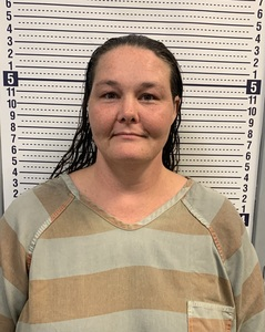 Jennifer Morrison mugshot