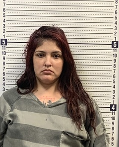 Karen Hranicky Hranicky mugshot