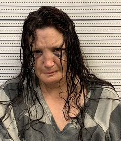 Kayla Ellingston Ellingston mugshot