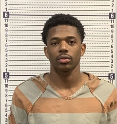 Lervae Williams mugshot