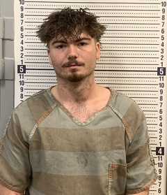 Raylee Stevenson-Wright Stevenson-Wright mugshot