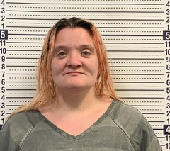 Reba Knuckles mugshot