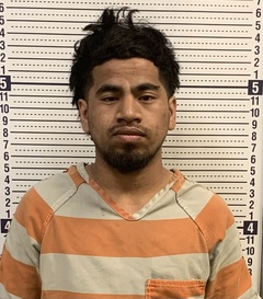 Ronald Boene mugshot