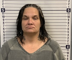 Tracey Medley mugshot