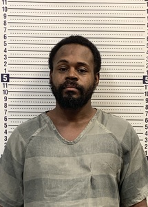 Triston Fisher mugshot