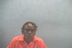 Lynn R Williams mugshot
