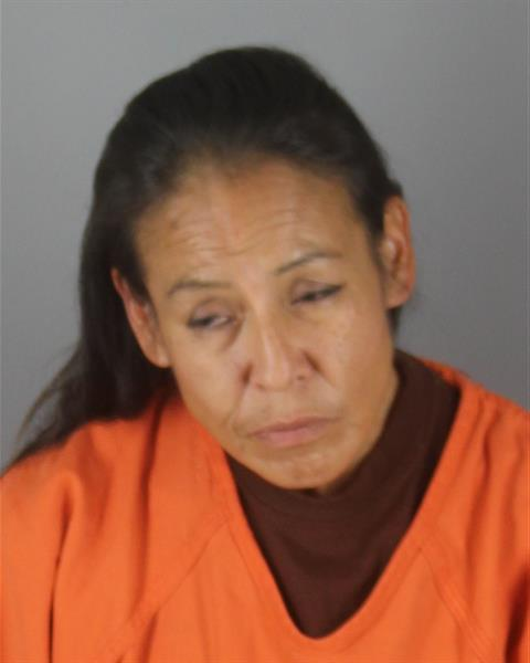 Lori Ann Smith mugshot