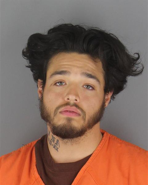 Stevie Ray Samaniego mugshot