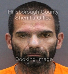 DAVID HAJIPOUR mugshot
