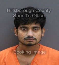 LEELA KARTHIK REDDY PADILETI mugshot