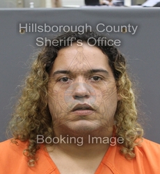 LEONARDO ALMENARES mugshot