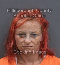 LISA LIANE ZINN mugshot