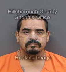 LIZANDRO JR HERNANDEZ mugshot