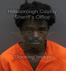 NEMAR LARON ELLIS mugshot
