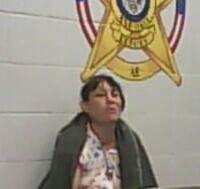 Amanda Hebert mugshot