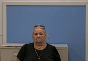 Michellle Marie Wilson mugshot