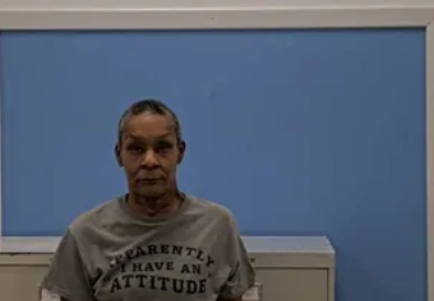 Yalonda A Benson mugshot