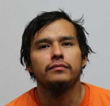 Dylan Staples mugshot