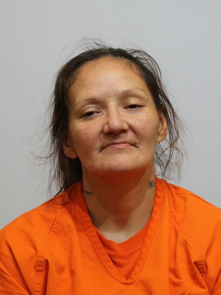 Kelly Anderson mugshot