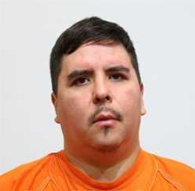 Louis Deegan mugshot