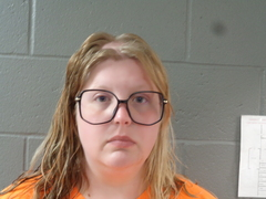 Holley Hawk Hawk mugshot