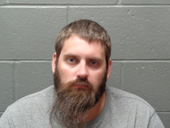 Logan Phelps mugshot
