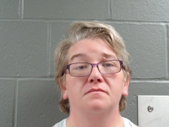 Nicole Lara Tara mugshot