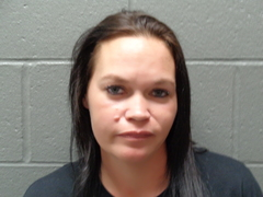 Sarah Henrickson mugshot