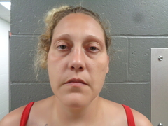 Sheila Bryant mugshot