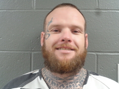 Stephan Whaples mugshot