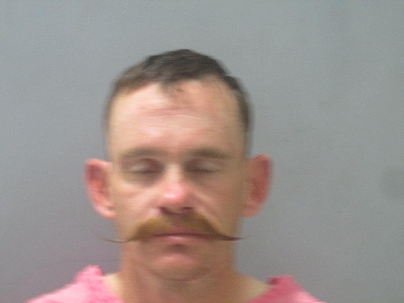 Timothy Steely mugshot