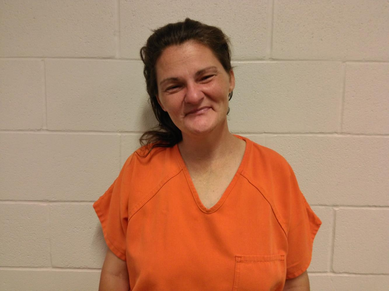 Ashley Leeann Floyd mugshot