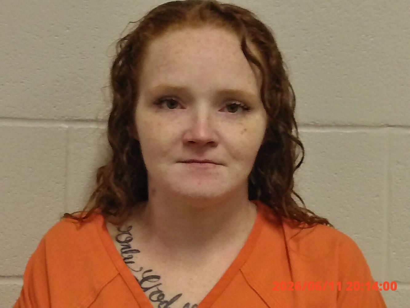 Cheyenne Llewellyn Moulton mugshot