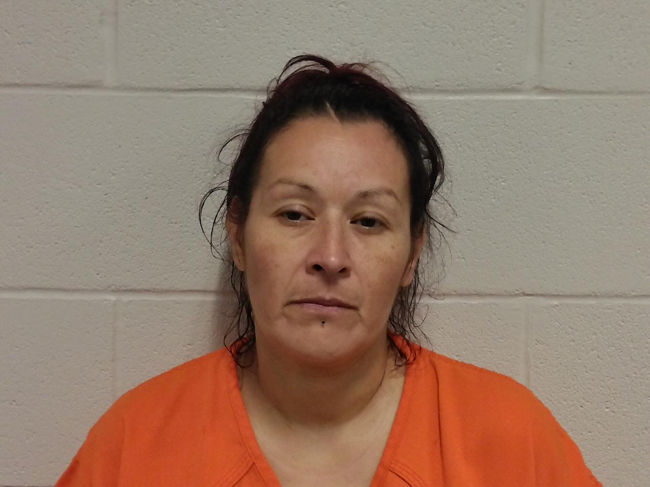 Lana Lemus mugshot
