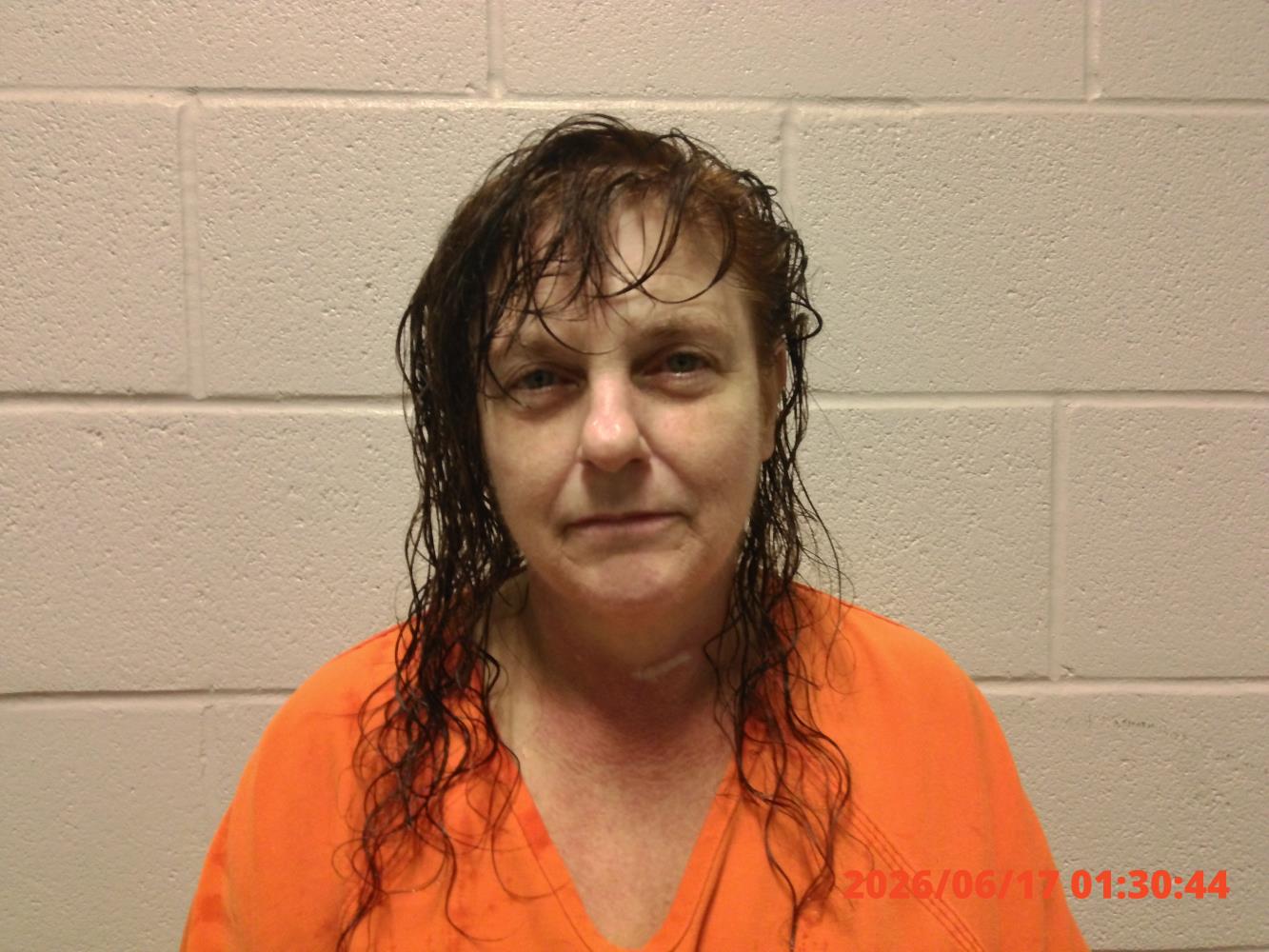 Leesa Diane Everhart mugshot