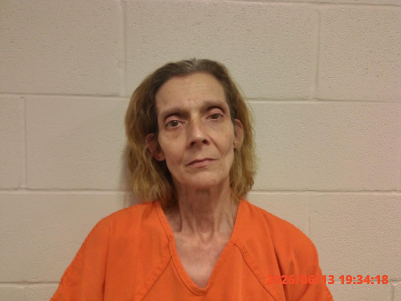 Michelle Diane Price mugshot