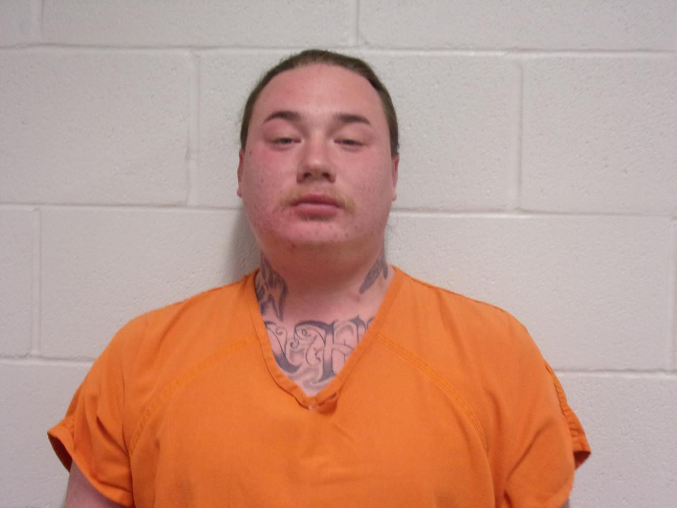 Nathaniel James Cayot mugshot