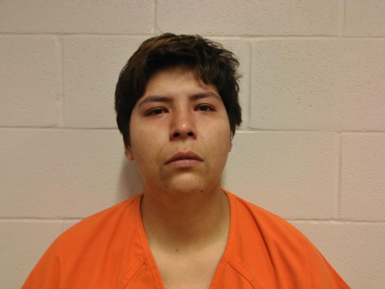 Rayna Lee Patton mugshot