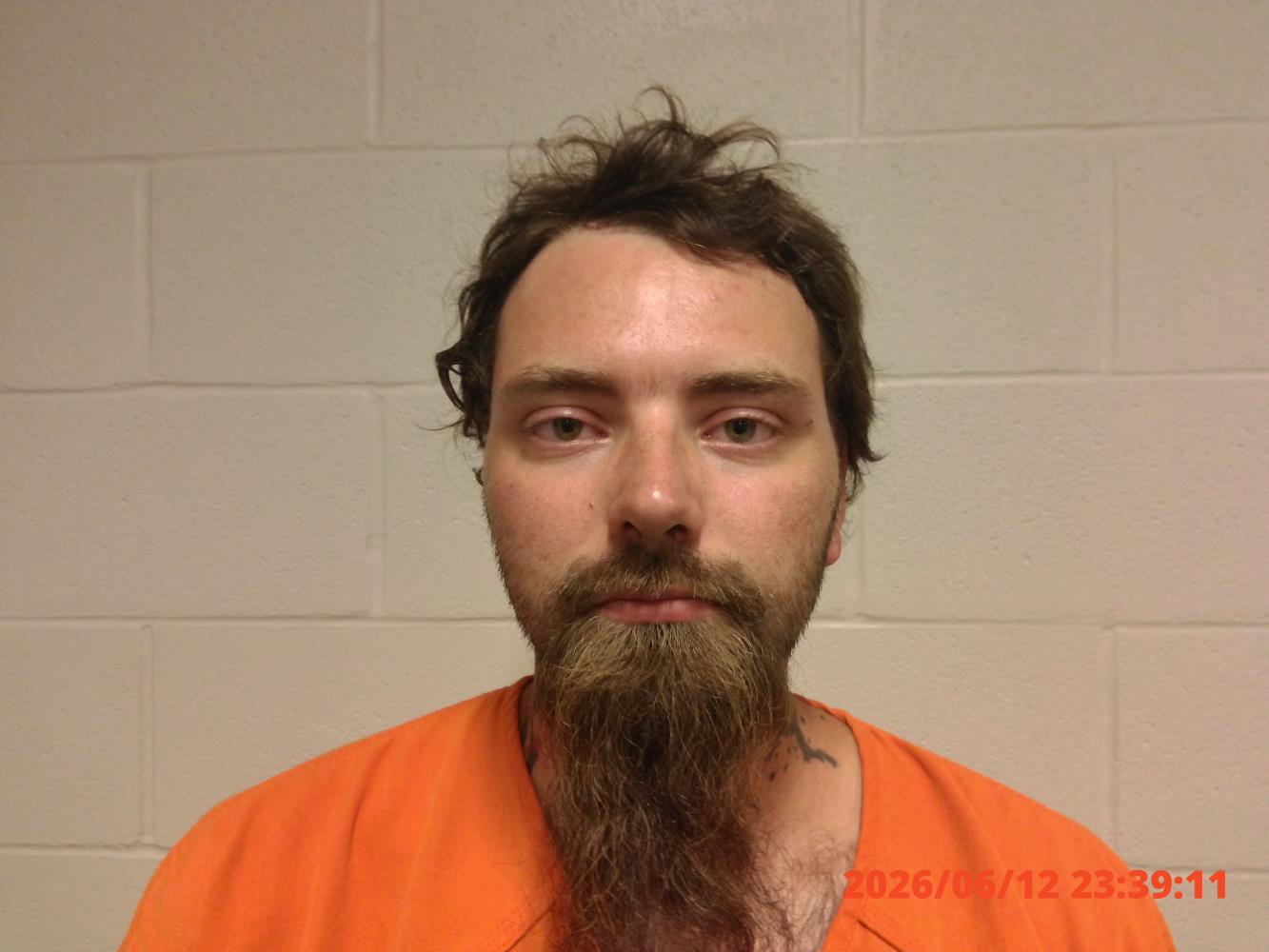 Tyler Wade Lewis mugshot