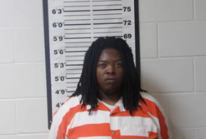 Christian Madison mugshot