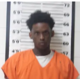 Jamarques Dedner mugshot