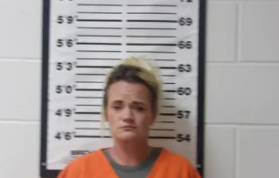 Melanie Griffith mugshot