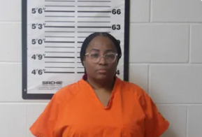 Tina Ellis mugshot