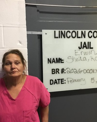 SHEILA ROSE ERWIN mugshot