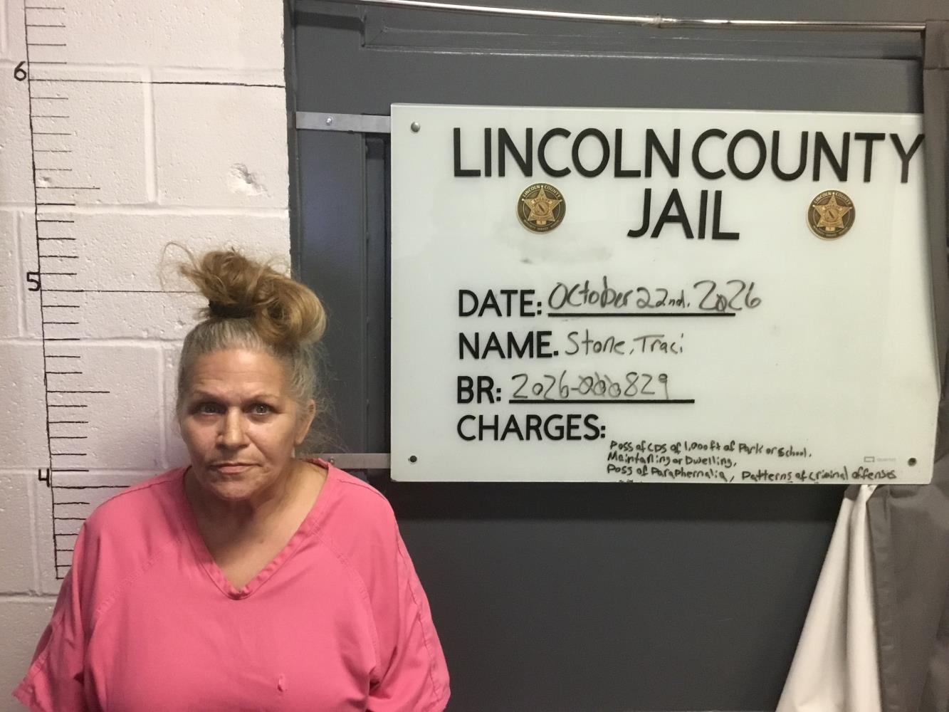 Traci Lynn Stone mugshot