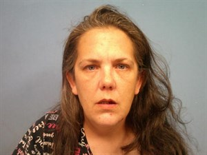 Sheri Lynn Hillian mugshot