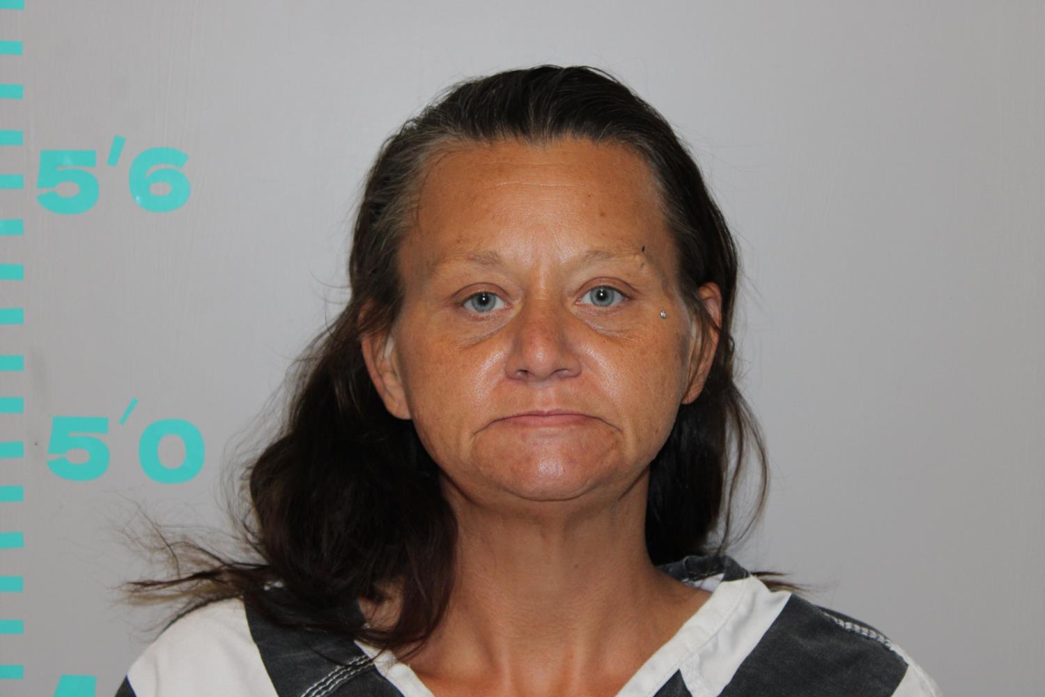 Amanda Sue King mugshot