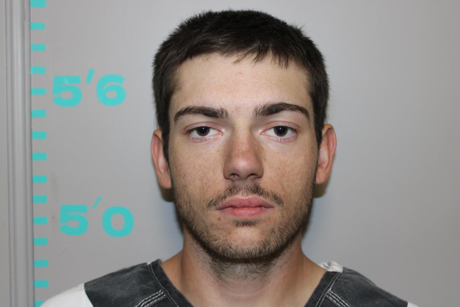 Cameron Ryel mugshot
