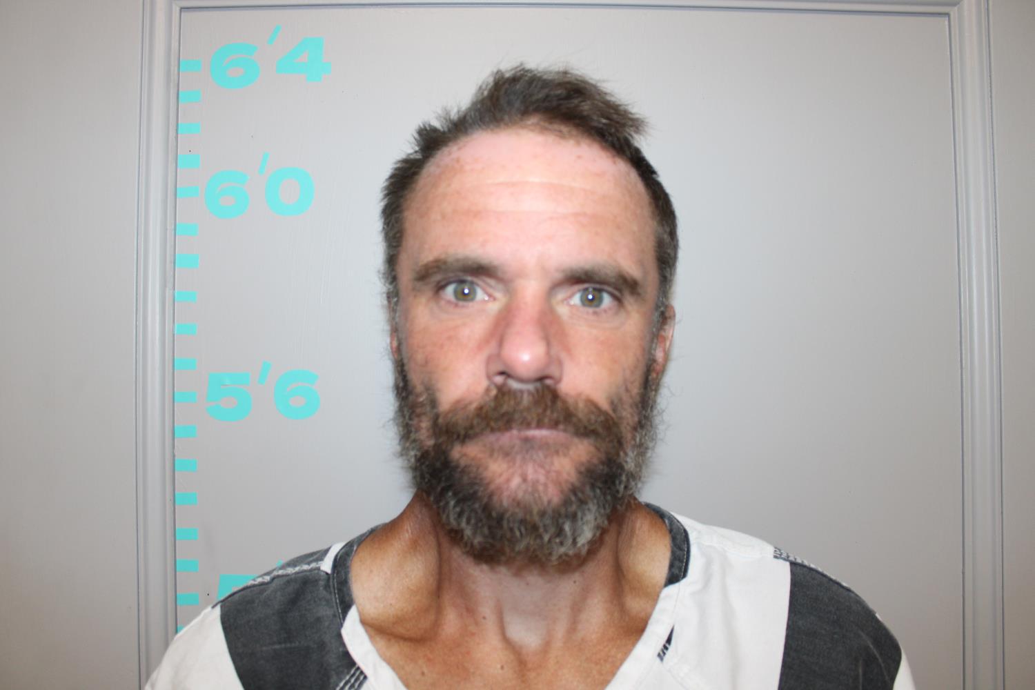 Carl Wayne Matthews mugshot