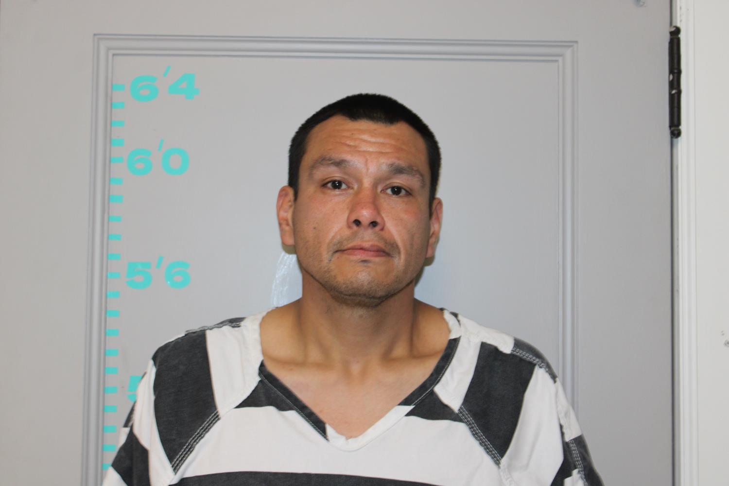 Michael James Daukei mugshot